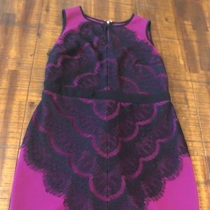 Thalia Sodi Fushia Dress